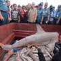 Perangi Pencurian Ikan, KKP Diminta Surati Otoritas Maritim Dunia