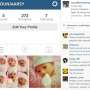 Instagram Putri Ashanty Diretas Lagi