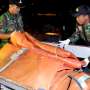 "Black Box" Dipastikan sudah Terpisah dari Ekor Pesawat AirAsia
