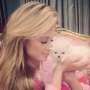 Anjing Kecil Koleksi Paris Hilton Ini Harganya Ratusan Juta