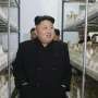 Kim Jong-un Akan Buka Rumah Makan di Skotlandia