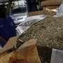 Bawa 4.219 Kg Ganja, Sopir Tronton Terancam Hukuman Mati