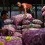 Bawang Putih Mahal, Pemerintah Impor 115 Ribu Ton Bawang Putih dari China