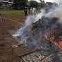 Dua Hektare Ladang Ganja Dibakar TNI