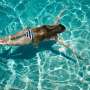 Suka Berenang? Waspadai Penyakit Ini