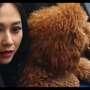 Lucunya Anjing Peliharaan Aura Kasih