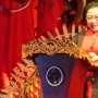 Megawati Akan Lantik Bapilu dan Saksi Pilkada dari PDIP