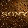 Sony Berencana PHK Massal Usai Studio Game Diretas Hacker