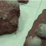 Sedang Bermain, Bocah Ini Temukan 11 Fosil Telur Dinosaurus di Tepi Sungai