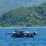 TNI-AL Tembak Kapal Pencuri Ikan Asal Cina di Natuna