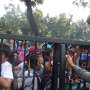 Minta Rumahnya Tak Digusur, Anak SD Demo Ahok
