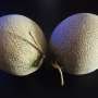 Mungkin Anda Tak Akan Percaya Harga "Melon Keberuntungan" Ini