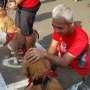 Tips Merawat Anjing Agar Tak Stres