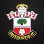 Ikuti Jejak Newcastle, Southampton Dibeli Miliarder Serbia