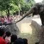 Libur Tahun Baru, Bonbin Ragunan Masih Jadi Favorit