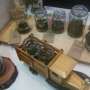 Terrarium Unik Ini Bikin Kamar Kamu Makin Cantik