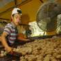Harga Bakso Bakal Makin Mahal, Ketua Gapmmi Ungkap Alasannya