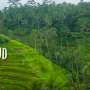 Video Jalan-jalan Men 2015: Sujud di Ubud