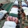 Jamaah Syatariyah Padang Salat Id Hari Jumat Ini