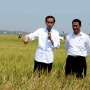 Jokowi: Siapa yang Punya Pangan, Dia yang Mengendalikan