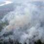 Giliran Hutan di Karawang Terbakar