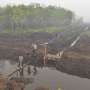 BNPB Perkirakan Kebakaran Hutan Sampai Desember 2015