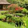 Menurut Fengshui, Jangan Lakukan Ini Pada Taman Rumah