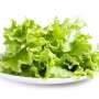 Manfaat Lettuce untuk Perawatan Kulit