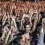 DWP 2016 Siapkan Banyak Kejutan