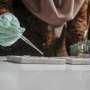 Sepasang Kekasih Menginap, Ada 11,33 Gram Sabu di Kamar