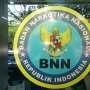 Desmon: BNN Lebih Baik Jadi Lembaga Independen