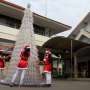 Uniknya Pohon Natal dari Botol Bekas