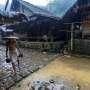Ekonomi Masyarakat Baduy Tak Terganggu Meski Wabah Covid-19 Melanda