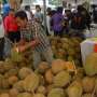 Durian Asal Papua Ini Diincar Thailand dan Malaysia
