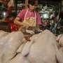 Harga Ayam Potong Turun