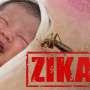 Beda Gejala Demam Berdarah Dengue dan Virus Zika