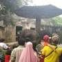 Imlek, Bonbin Ragunan Alami Lonjakan Pengunjung