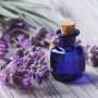 Mengenal Khasiat Minyak Herbal Lavender Sanga-Sanga, Redakan Sakit Kepala Hingga Menenangkan