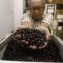 Warga Korea Berlomba Cicipi Kopi Indonesia