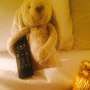 Boneka Kelinci Begitu Dimanja di Hotel Ini