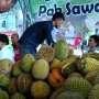 Ada Pesta Durian di Sini, Datang Yuk!
