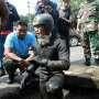 Cari Sampah Kabel di Sekitar Istana, Pasukan Katak Temukan Ini