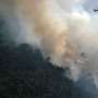 Hutan di Riau Terbakar Lagi