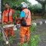 Ditiup Angin, Pohon Tua Tumbang di Hang Lekir, Tiga Mobil Ringsek