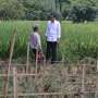 Ke Jatigede, Jokowi 15 Menit Ngobrol di Sawah dengan Petani