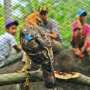 Jateng Bakal Miliki Taman Safari