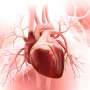Penanganan Penyakit Jantung Harus Dilakukan di Hulu dan Hilir, Ini Penjelasan Dokter