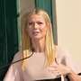 Setelah "Steam" Vagina, Gwyneth Paltrow Nyandu Disengat Lebah
