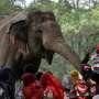 Wisata Taman Margasatwa Ragunan