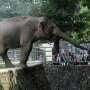 Ribuan Orang Padati Kebun Binatang Ragunan